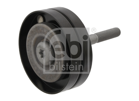 Diržo įtempiklio skriemulys FEBI BILSTEIN 31069