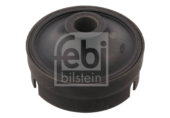 Kintamosios srovės generatoriaus pavaros guolis FEBI BILSTEIN 31452