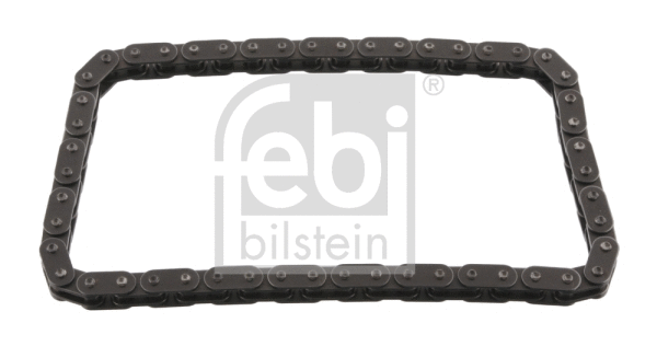 Pavaros grandinė FEBI BILSTEIN 33636