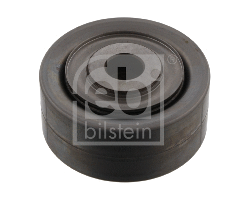 Diržo įtempiklio skriemulys FEBI BILSTEIN 33717