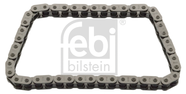 Pavaros grandinė FEBI BILSTEIN 33900