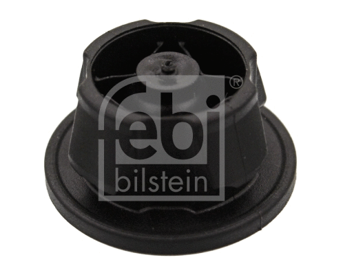 Kėbulo juostos tvirtinimas FEBI BILSTEIN 40836