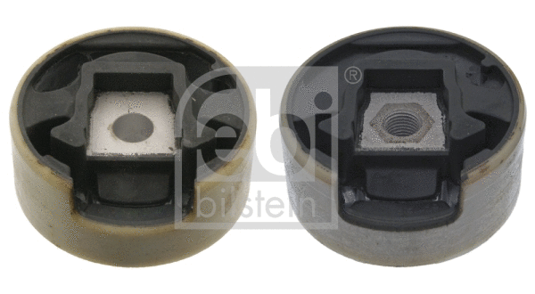 Variklio montavimas FEBI BILSTEIN 45309