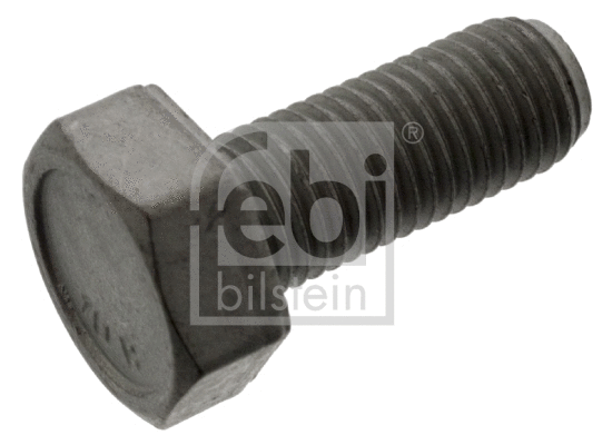 Stabdžių disko varžtas FEBI BILSTEIN 48760