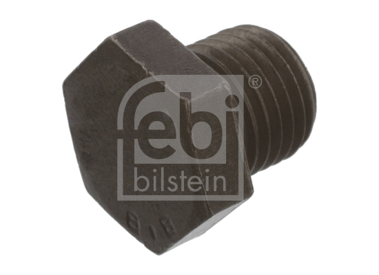 Alyvos karterio alyvos išleidimo kaištis FEBI BILSTEIN 48877