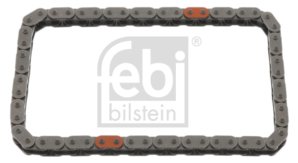 Pavaros grandinė FEBI BILSTEIN 49731