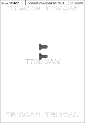Stabdžių disko varžtų komplektas TRISCAN 8105 116006