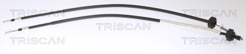 Stovėjimo stabdžio trosas TRISCAN 8140 251251