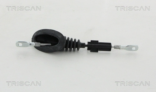 Stovėjimo stabdžio trosas TRISCAN 8140 291173
