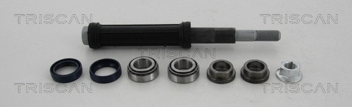 Pakabos komplektas TRISCAN 8500 38401