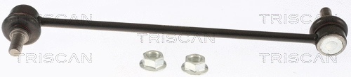 Šarnyro stabilizatorius TRISCAN 8500 43671