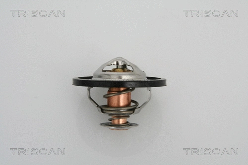 Termostatas TRISCAN 8620 13591