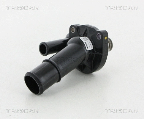 Termostatas TRISCAN 8620 24488
