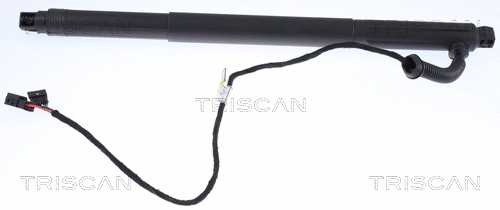 Bagažinės dujinė spyruoklė TRISCAN 8710 11301