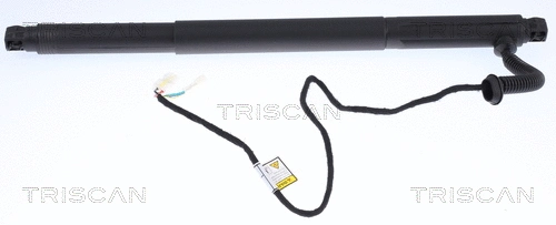 Bagažinės dujinė spyruoklė TRISCAN 8710 11302