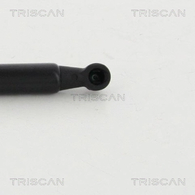 Bagažinės dujinė spyruoklė TRISCAN 8710 292019