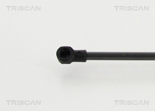 Bagažinės dujinė spyruoklė TRISCAN 8710 292101