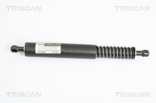 Bagažinės dujinė spyruoklė TRISCAN 8710 29264
