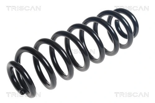 Spyruoklė TRISCAN 8750 29456