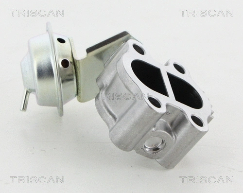 ERG vožtuvas TRISCAN 8813 13060