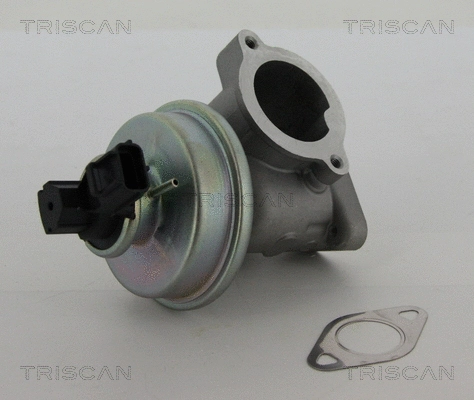 ERG vožtuvas TRISCAN 8813 16012