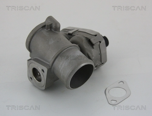 ERG vožtuvas TRISCAN 8813 16101
