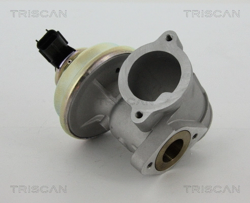 ERG vožtuvas TRISCAN 8813 16102