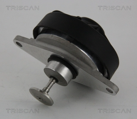 ERG vožtuvas TRISCAN 8813 24202