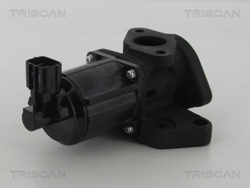 ERG vožtuvas TRISCAN 8813 50007