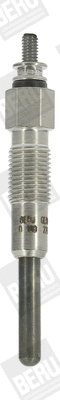 Pakaitinimo žvakė BorgWarner (BERU) GN012