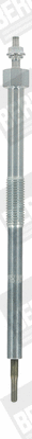 Pakaitinimo žvakė BorgWarner (BERU) GN109