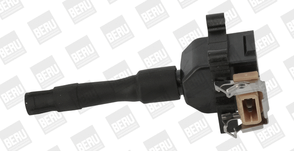 Uždegimo ritė BorgWarner (BERU) ZS014