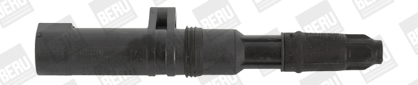 Uždegimo ritė BorgWarner (BERU) ZS052
