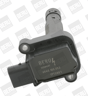 Uždegimo ritė BorgWarner (BERU) ZS053
