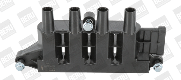 Uždegimo ritė BorgWarner (BERU) ZS079