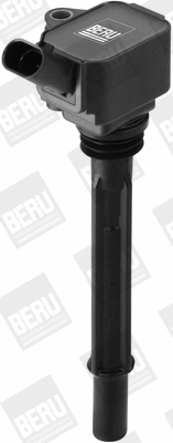 Uždegimo ritė BorgWarner (BERU) ZS096