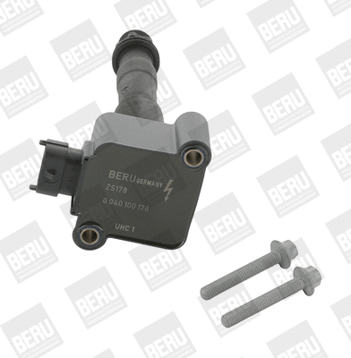 Uždegimo ritė BorgWarner (BERU) ZS178