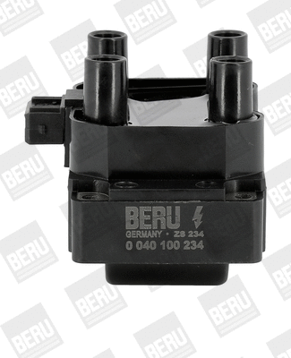 Uždegimo ritė BorgWarner (BERU) ZS234
