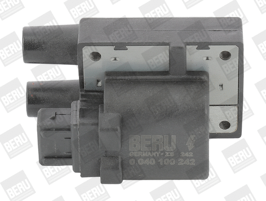 Uždegimo ritė BorgWarner (BERU) ZS242