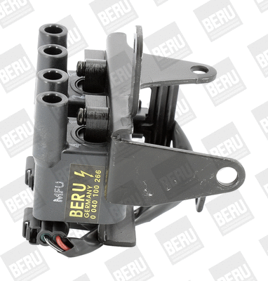 Uždegimo ritė BorgWarner (BERU) ZS266