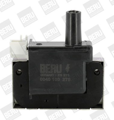 Uždegimo ritė BorgWarner (BERU) ZS275