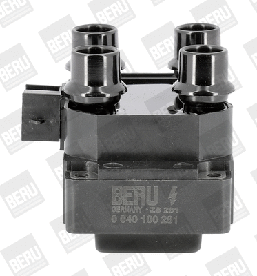 Uždegimo ritė BorgWarner (BERU) ZS281