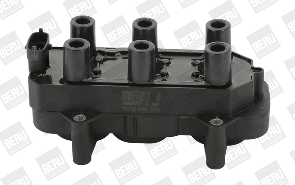 Uždegimo ritė BorgWarner (BERU) ZS306