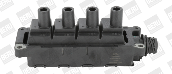 Uždegimo ritė BorgWarner (BERU) ZS307