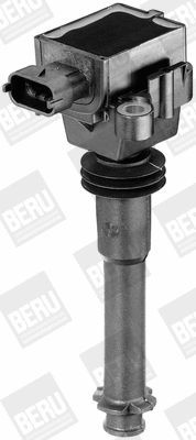 Uždegimo ritė BorgWarner (BERU) ZS311