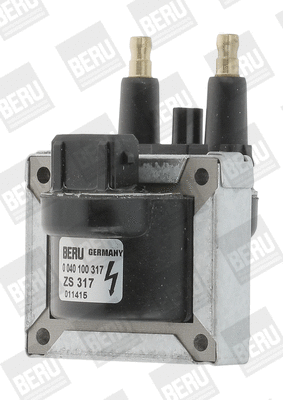 Uždegimo ritė BorgWarner (BERU) ZS317