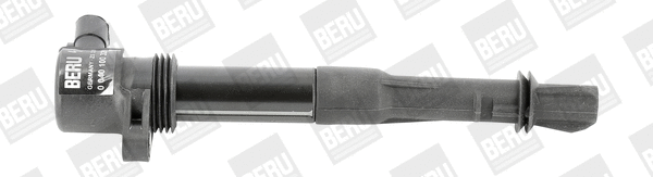 Uždegimo ritė BorgWarner (BERU) ZS320