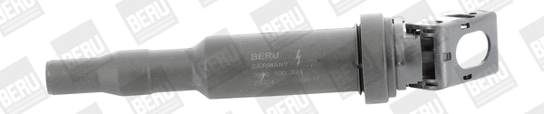 Uždegimo ritė BorgWarner (BERU) ZS324