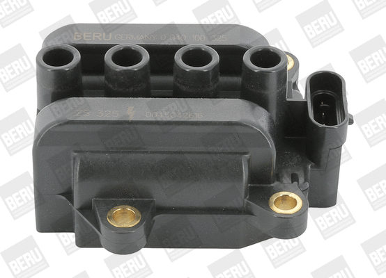 Uždegimo ritė BorgWarner (BERU) ZS325