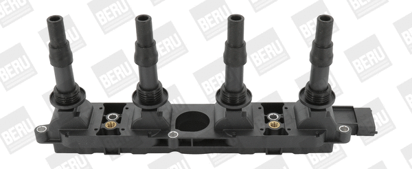 Uždegimo ritė BorgWarner (BERU) ZS342